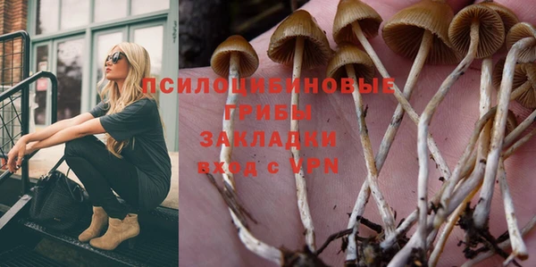 гашиш Щигры