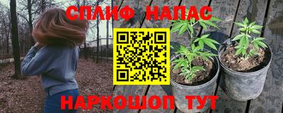 скорость Дубна