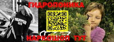 PSILOCYBIN Донской