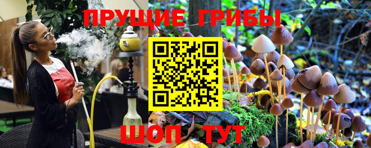 Псилоцибиновые грибы Psilocybine cubensis  Новочебоксарск 