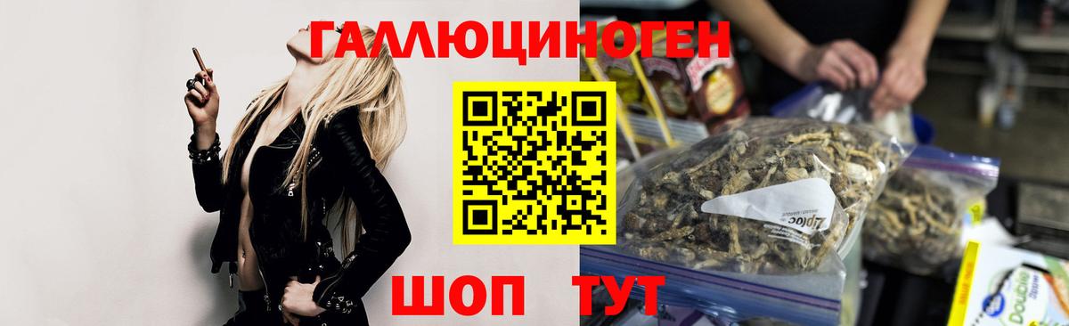 Псилоцибиновые грибы MAGIC MUSHROOMS Новочебоксарск